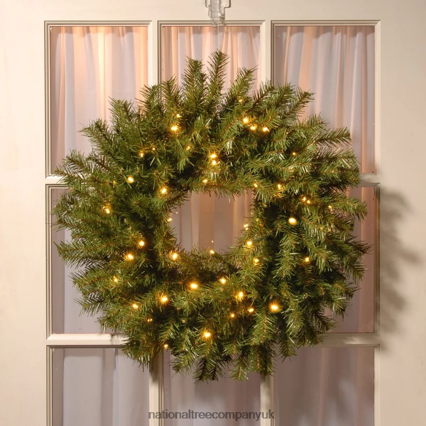 Greenery | National Tree Company Pre-Lit Artificial Christmas Wreath Norwood Fir with Twinkly LED Lights Plug in 24 in F2L4F289